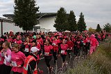 IMG 6082