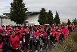 IMG 6084