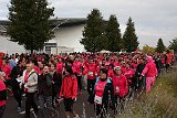 IMG 6086