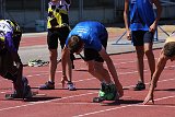 IMG 9118