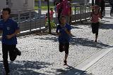 IMG 2239