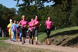 IMG 1496