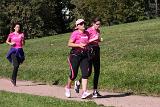 IMG 2019