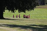 IMG 2086