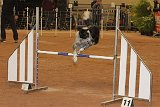 IMG 6090