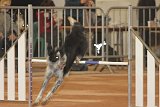 IMG 6093