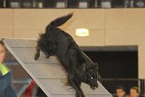 IMG 6097