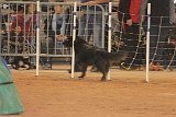 IMG 6099