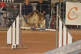 IMG 6107