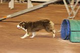 IMG 6112
