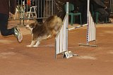 IMG 6113