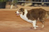 IMG 6119