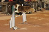IMG 6121