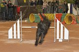 IMG 6127