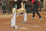 IMG 6134