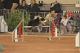 IMG 6136