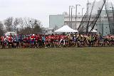 IMG 6985