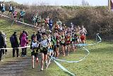 IMG 7066