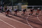 IMG 0861