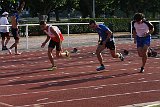 IMG 0882