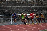 IMG 0952